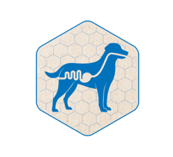 kachelicon verdauung hoeveler dog